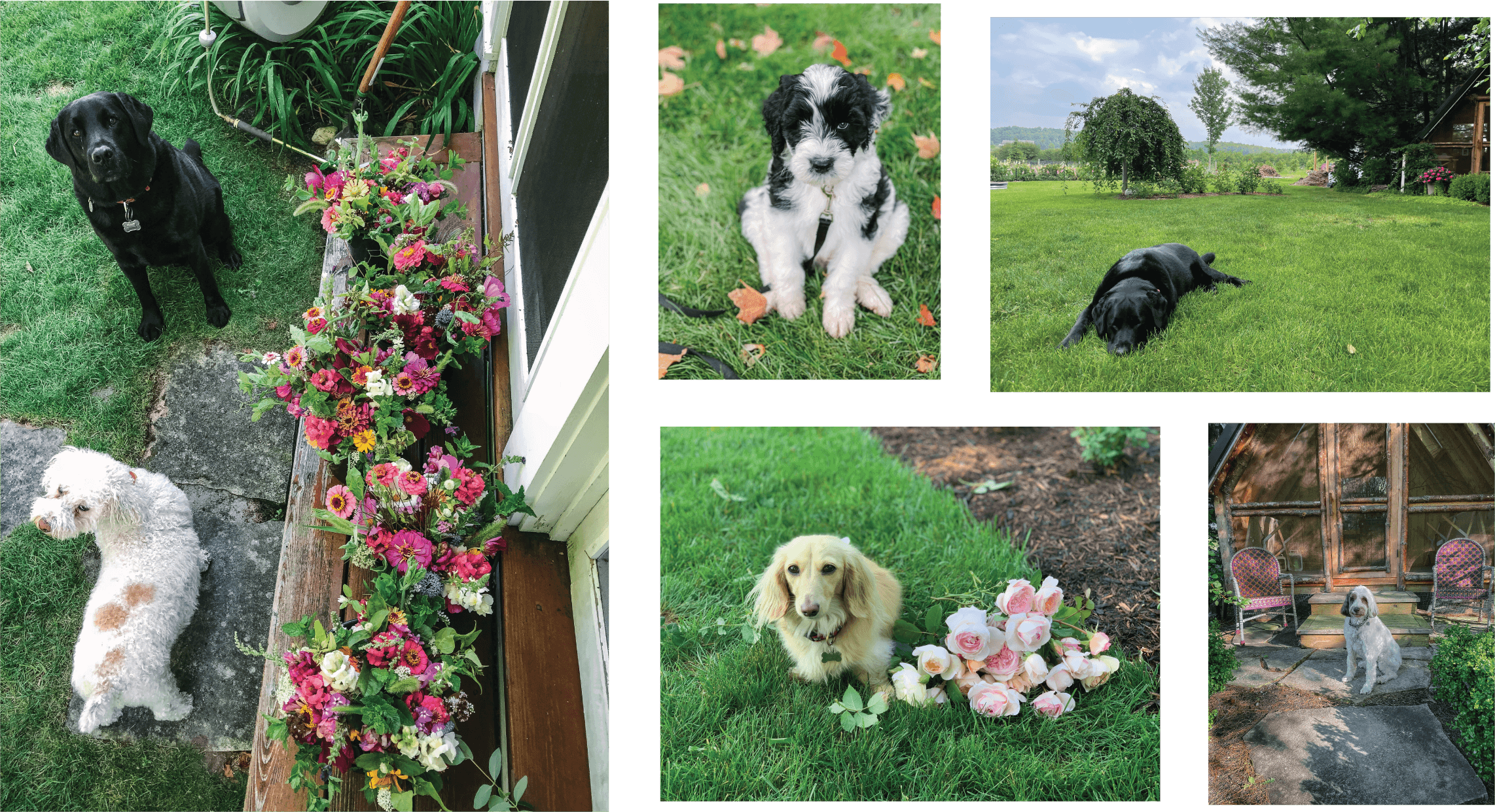 farm collage